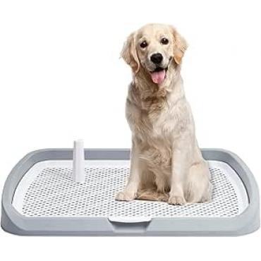 犬 トイレトレ...